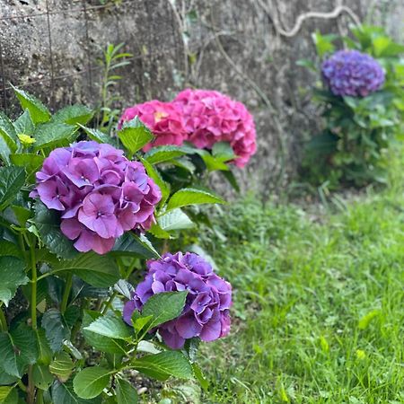 اروكا Quinta Das Ameixas - Country & Nature المظهر الخارجي الصورة